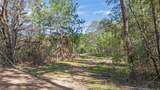 0035 Hwy 249 - Photo 10