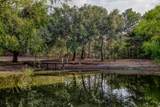 Tract 6 Sun Oil Road - Photo 10