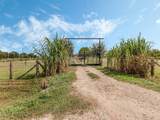 2234 Hopkins Road - Photo 5