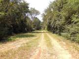2399 Cr 1885 - Photo 41