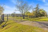 11547 Crockett Martin Road - Photo 38