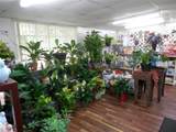 140 17th Street - Photo 5