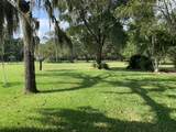29229 Sheffield Road - Photo 3