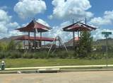 28818 Texas Sparrow Ln - Photo 18
