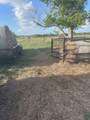 1010 County Road 595 Drive - Photo 4