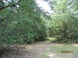 30075 Round Up Drive - Photo 13