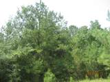30075 Round Up Drive - Photo 15