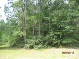30075 Round Up Drive - Photo 8