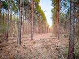 00 County Road 1651 - Photo 5