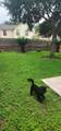 13230 Skyviewgreen Drive - Photo 19