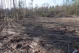 9061 Private Road 2851 - Photo 7