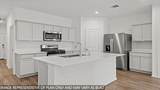 16546 Pinecone Grove Street - Photo 2