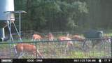 6935 Us Highway 175 W - Photo 8