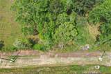 301 Birch Street - Photo 6