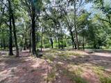 619 Lakeville Drive - Photo 30