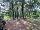 619 Lakeville Drive - Photo 32