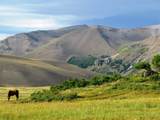  Colipilli, Neuqu&eacute;n Province, Argentina - Photo 1