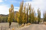  Colipilli, Neuqu&eacute;n Province, Argentina - Photo 5