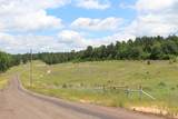 Tract 71 Private Road 1315 - Photo 12