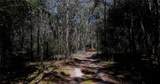 0000 Lake Falls Road - Photo 8