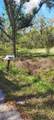 8828 Calagna Road - Photo 3