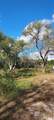8828 Calagna Road - Photo 6