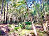 000 County Road 1190 - Photo 10