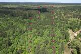 000 County Road 1190 - Photo 13