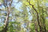 000 County Road 1190 - Photo 5