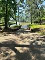 1815 Black Bear Drive - Photo 12