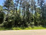 1815 Black Bear Drive - Photo 2