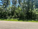 1815 Black Bear Drive - Photo 3