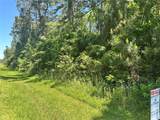 1815 Black Bear Drive - Photo 4