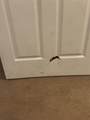 4529 Coronado Street - Photo 29
