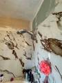 4529 Coronado Street - Photo 32