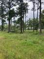 24564-24568 Riley Rd - Photo 8