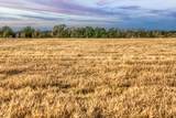 TBD County Road 318 - Photo 2