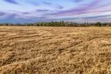 TBD County Road 318 - Photo 3