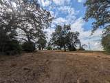 1262 Fm 112 Road - Photo 7