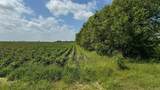 TBD Lot 1 County Road 414 - Photo 7