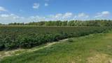 TBD Lot 1 County Road 414 - Photo 8