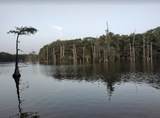 Lot 282&283 Livingston Drive - Photo 16