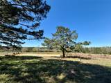 1105 County Road 3550 - Photo 12