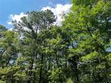 03 Off Highway 21 - Photo 9