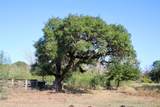 3514 Highway 90 - Photo 4
