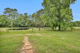 2955 Hogg Extension - Photo 41