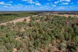 3192 State Highway 19 - Photo 10