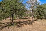 3192 State Highway 19 - Photo 22