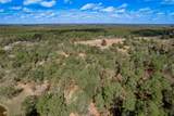 3192 State Highway 19 - Photo 9