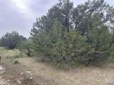 0 County Road 611 - Photo 1